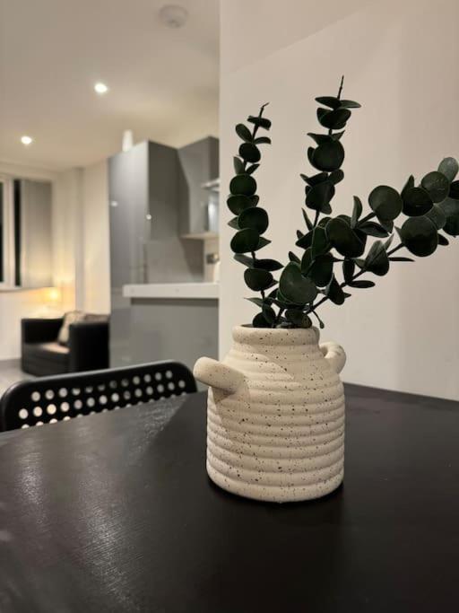 Spacious 1 Bedroom Flat Centre Apartment